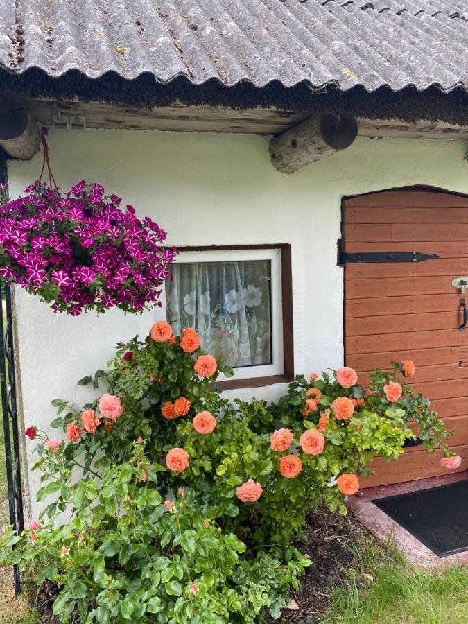 Searooms Lapmezciems Bagian luar foto