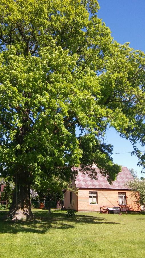 Searooms Lapmezciems Bagian luar foto