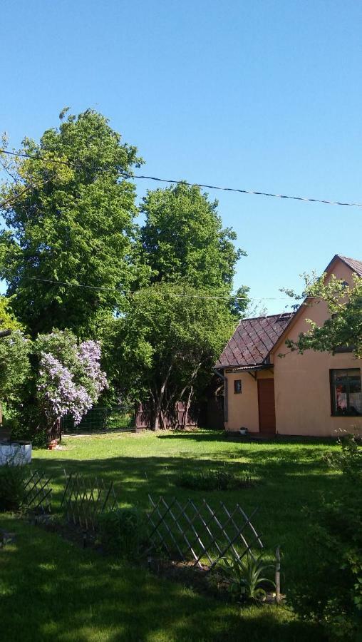 Searooms Lapmezciems Bagian luar foto