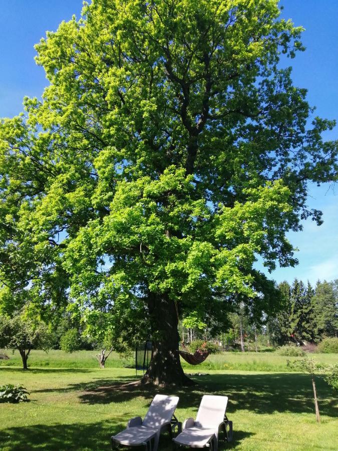 Searooms Lapmezciems Bagian luar foto